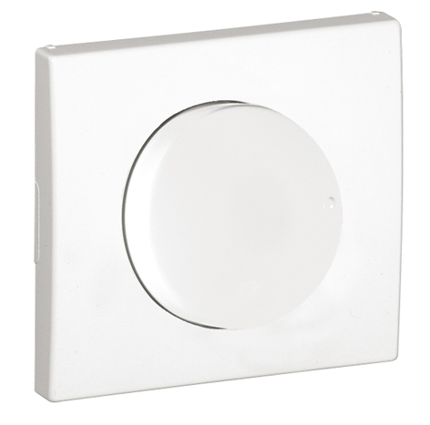 Cover Plate for Dimmer/Two-way Switch